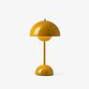 Funghi Lights™ | USB powered + adjustable with 3 brightness settings