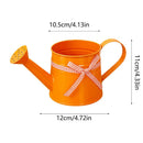 Ornamental Metal Watering Can | Chic Focal Point | Gentle Shower Head | Floravia