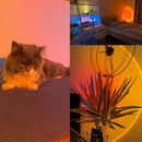 Sunset Lamp | 16 Colors + Remote LED Projector Table Lamp with USB Nightstand Light