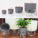 Flower Planter | Self-Watering | Pure Water Flow | AquaWick