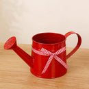 Ornamental Metal Watering Can | Chic Focal Point | Gentle Shower Head | Floravia