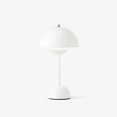 Funghi Lights™ | USB powered + adjustable with 3 brightness settings