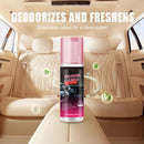 100 ml Interior Cleaner for Leather, Vinyl, and Plastic Surfaces