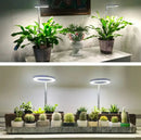 Plant Lamp | Full Spectrum Growth Light | Brightness and Timer Control | PlantGlow
