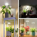 Plant Lamp | Full Spectrum Growth Light | Brightness and Timer Control | PlantGlow