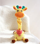 50% Discount Temporary Offer | Groove Giraffe