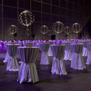 5+5 Free | Party Balloon - Turn Any Gathering into a Festive Event
