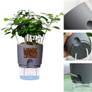 Flower Planter | Self-Watering | Pure Water Flow | AquaWick
