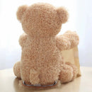 BuddyBear – The Peekaboo Teddy That Sparks Giggles from Your Baby Every Time