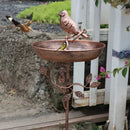 Garden Bird Water Bowl | Decorative Basin | Stable Spike | GardenShine