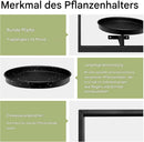 Wall Mounted Plant Holder | Metal Frame | Space-Saving | Plantify