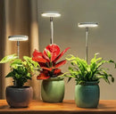Plant Lamp | Full Spectrum Growth Light | Brightness and Timer Control | PlantGlow