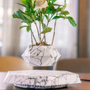 360° Rotating Flower Pot | Sculptural Floating Design