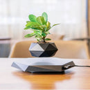 360° Rotating Flower Pot | Sculptural Floating Design