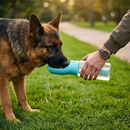 3-in-1 Pet Water Bottle with Food Storage and Waste Bag Dispenser