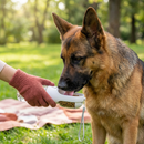 3-in-1 Pet Water Bottle with Food Storage and Waste Bag Dispenser