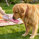 3-in-1 Pet Water Bottle with Food Storage and Waste Bag Dispenser