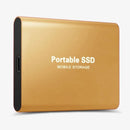128 GB External SSD | 20 MB/s Transfer Speed | Shockproof & Waterproof