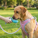 2-in-1 Travel Water Bottle for Dogs with Attached Silicone Bowl