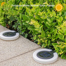 360° Swiveling Solar Ground Light with IP65 Waterproof Design