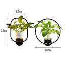 LED Wall Plant Light with Glass Vase | Cozy Ambient Glow | Stylish Wall Accent | GlowPlant