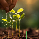 Plant Feeding | Even Nutrient Distribution | Easy to Insert | RootVita