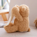 BuddyBear – The Peekaboo Teddy That Sparks Giggles from Your Baby Every Time