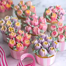 12-Piece Tulip Decorating Tip Set with Silicone Piping Bag and Adapter