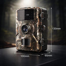 Wildlife Monitoring Camera with Night Vision | Motion Detector | Weatherproof | Forest Guardian