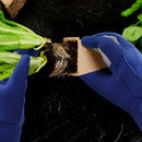 Thorn-Guard Garden Gloves | Palm & Thumb Reinforcement | Airy Fabric | GardenGrip