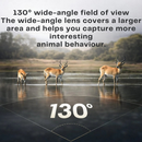 Wildlife Monitoring Camera with Night Vision | Motion Detector | Weatherproof | Forest Guardian