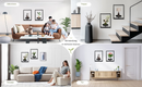 Wall Mounted Plant Holder | Metal Frame | Space-Saving | Plantify