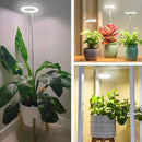 Plant Lamp | Full Spectrum Growth Light | Brightness and Timer Control | PlantGlow