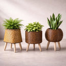 Flower Planter with Wooden Stand | Basket Weave Texture | Ideal for Indoor and Outdoor | Plantara