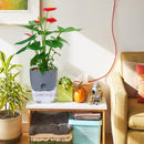 Flower Planter | Self-Watering | Pure Water Flow | AquaWick