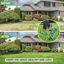 Lawn Aerator Cleats | Aerate Your Yard While Walking | Spike Strap Style | Green Step