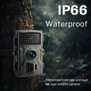 Wildlife Monitoring Camera with Night Vision | Motion Detector | Weatherproof | Forest Guardian