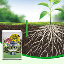 Plant Feeding | Even Nutrient Distribution | Easy to Insert | RootVita