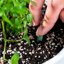 Plant Feeding | Even Nutrient Distribution | Easy to Insert | RootVita