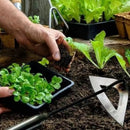 Weeding Tool | Upright Weed Pulling Without Bending | Hollow Forged Steel Blade | RootPath